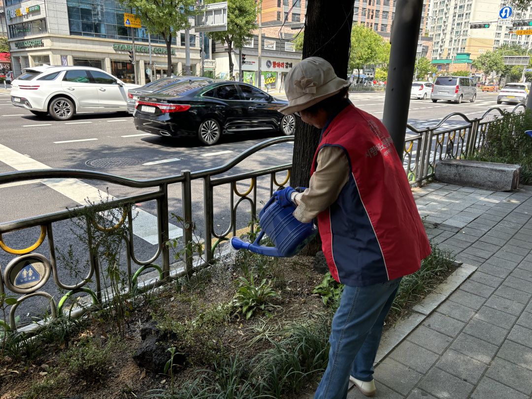 [노인자원봉사] 2024년 나무돌보미 프로그램 11회기 실시